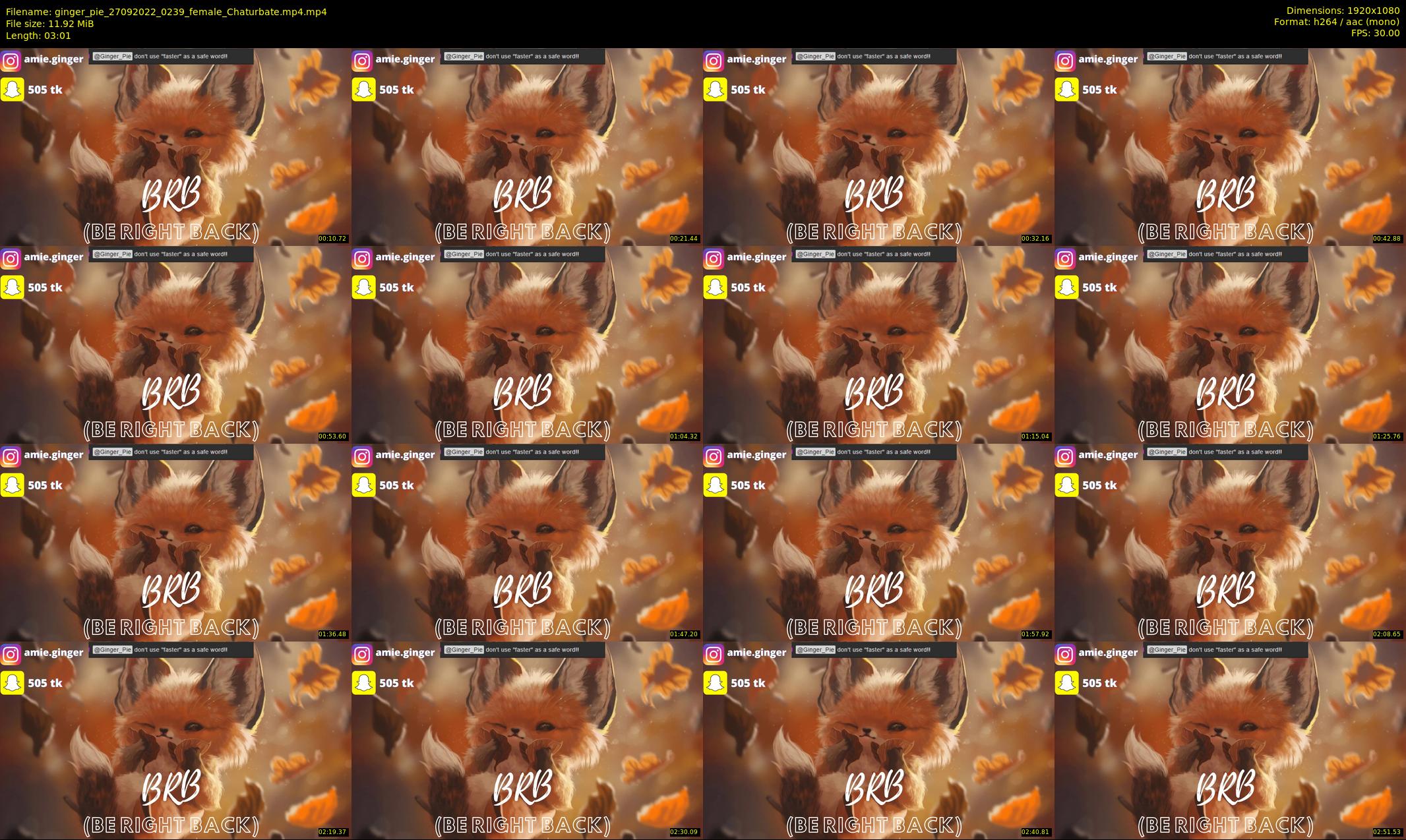 ginger_pie — 4 minute Chaturbate female cam show recording, 1080p, Sep 27, 2022