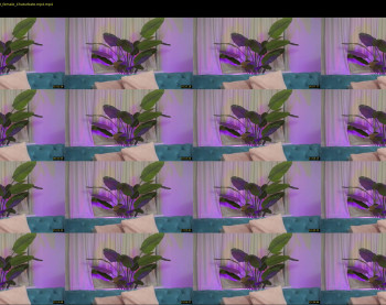 _nastya_ — 29 minute Chaturbate female cam show recording, 720p, Sep 27, 2022