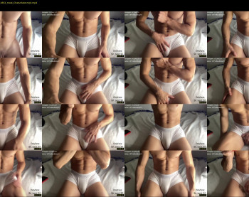 bestdick1991 — 24 minute Chaturbate male cam show recording, 720p, Sep 27, 2022