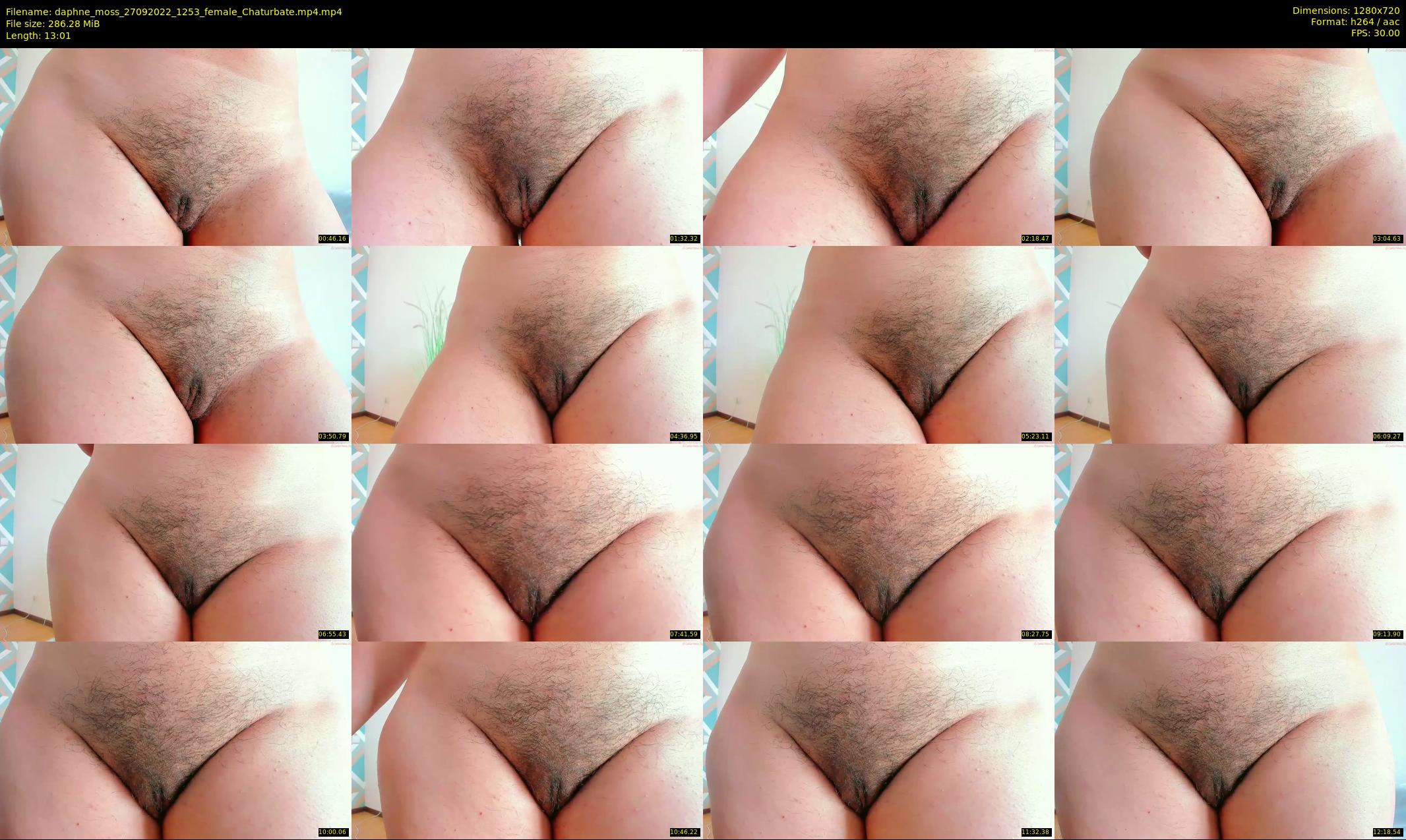 daphne_moss — 14 minute Chaturbate female cam show recording, 720p, Sep 27, 2022