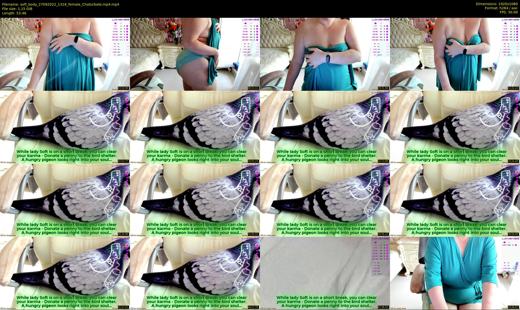 soft_body — 54 minute Chaturbate female cam show recording, 1080p, Sep 27, 2022