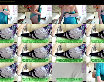 soft_body — 54 minute Chaturbate female cam show recording, 1080p, Sep 27, 2022