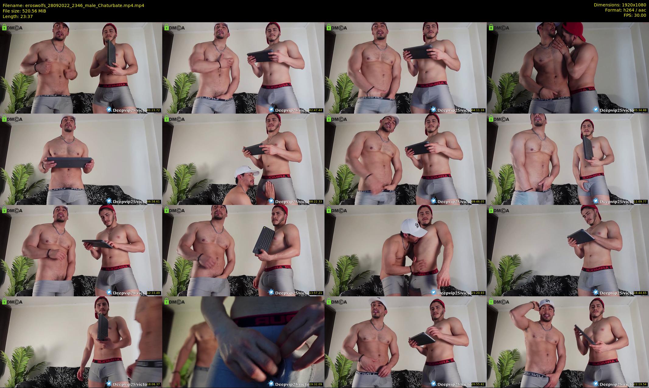 eroswolfs — 24 minute Chaturbate male cam show recording, 1080p, Sep 28, 2022