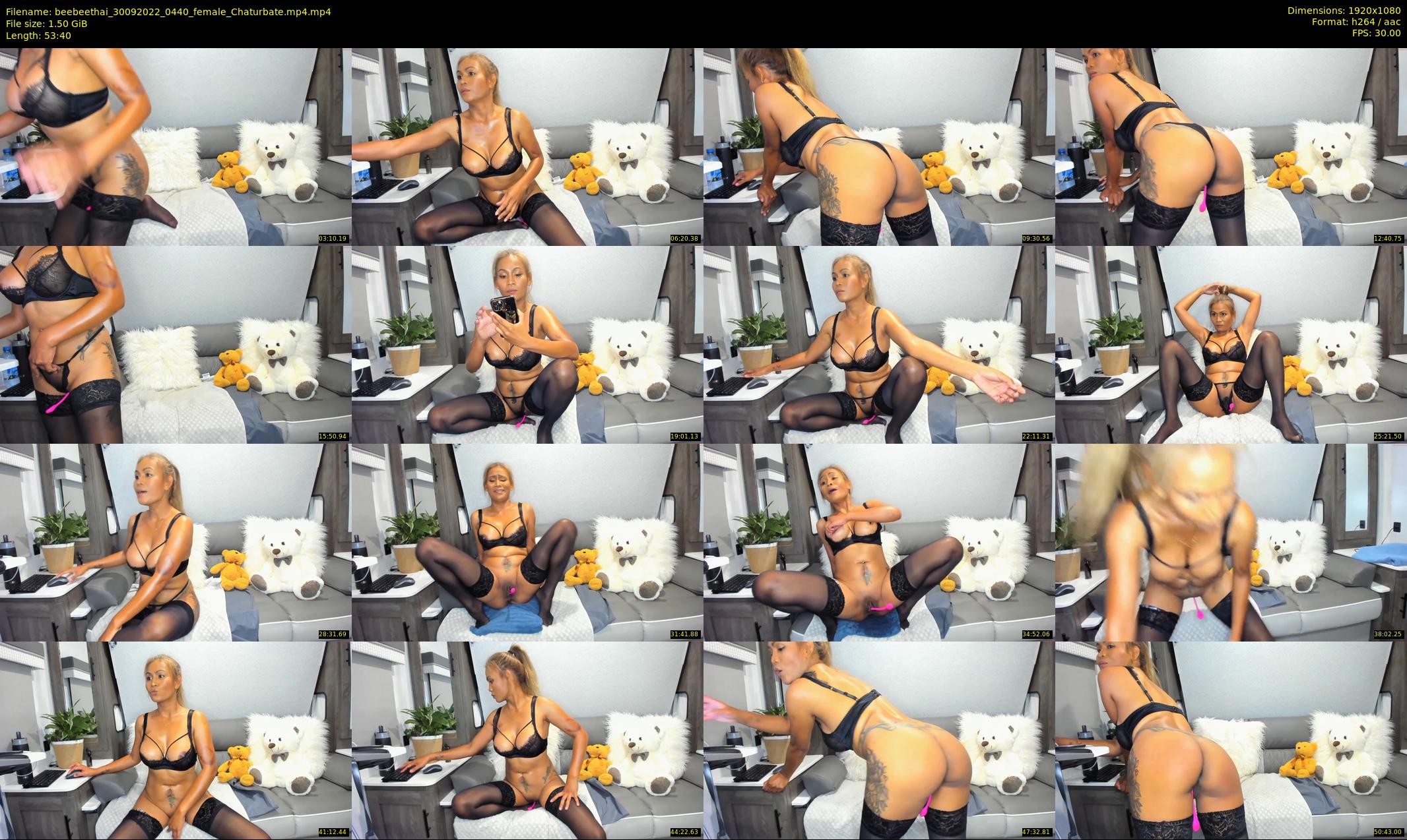 beebeethai — 54 minute Chaturbate female cam show recording, 1080p, Sep 30, 2022