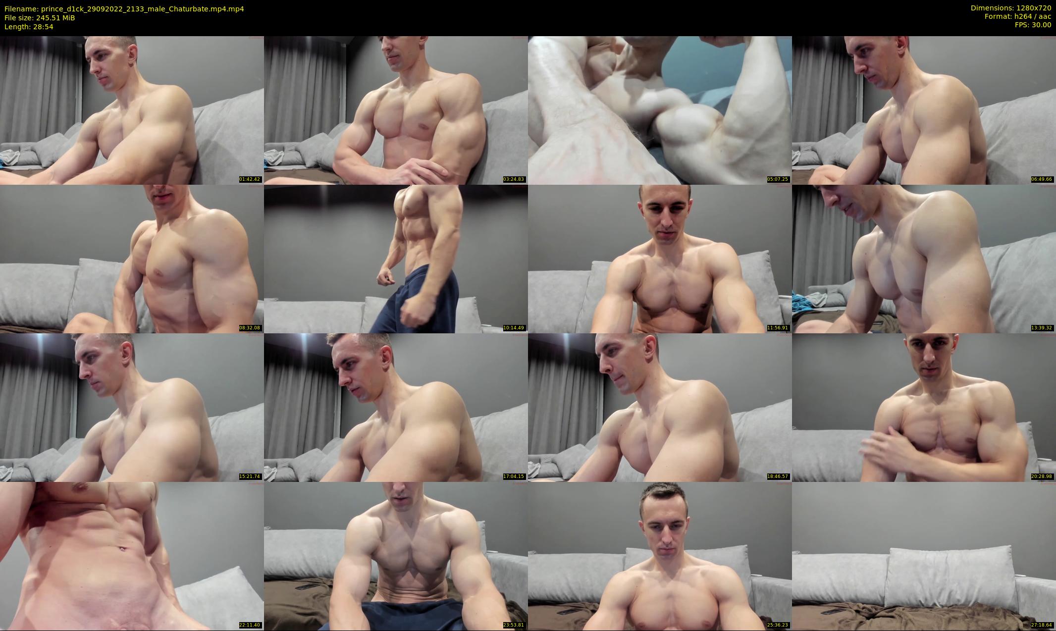 prince_d1ck — 29 minute Chaturbate male cam show recording, 720p, Sep 29, 2022
