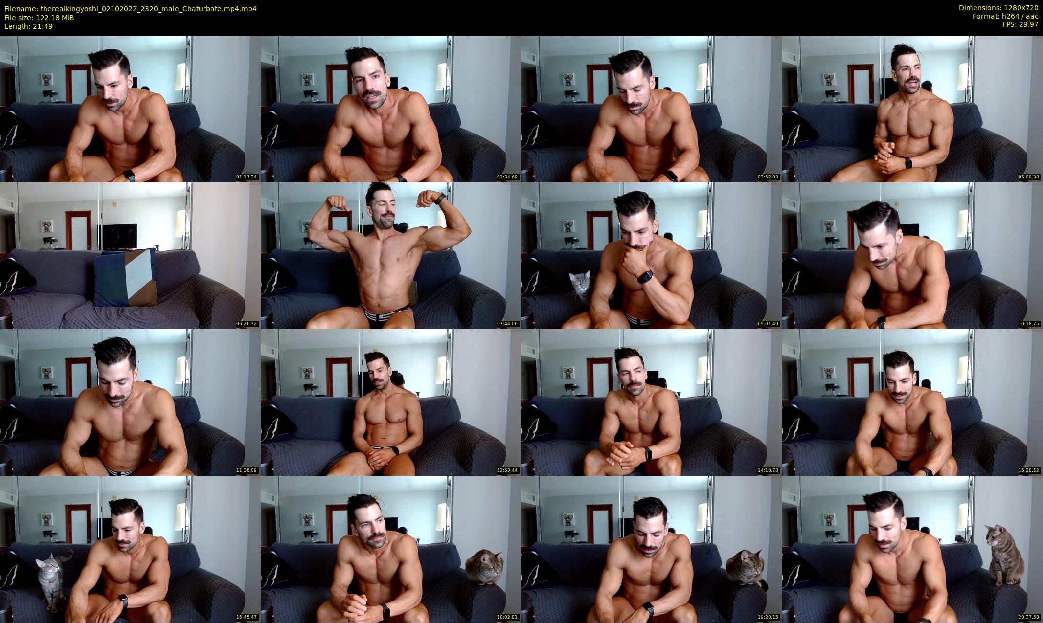 therealkingyoshi — 22 minute Chaturbate male cam show recording, 720p, Oct 2, 2022