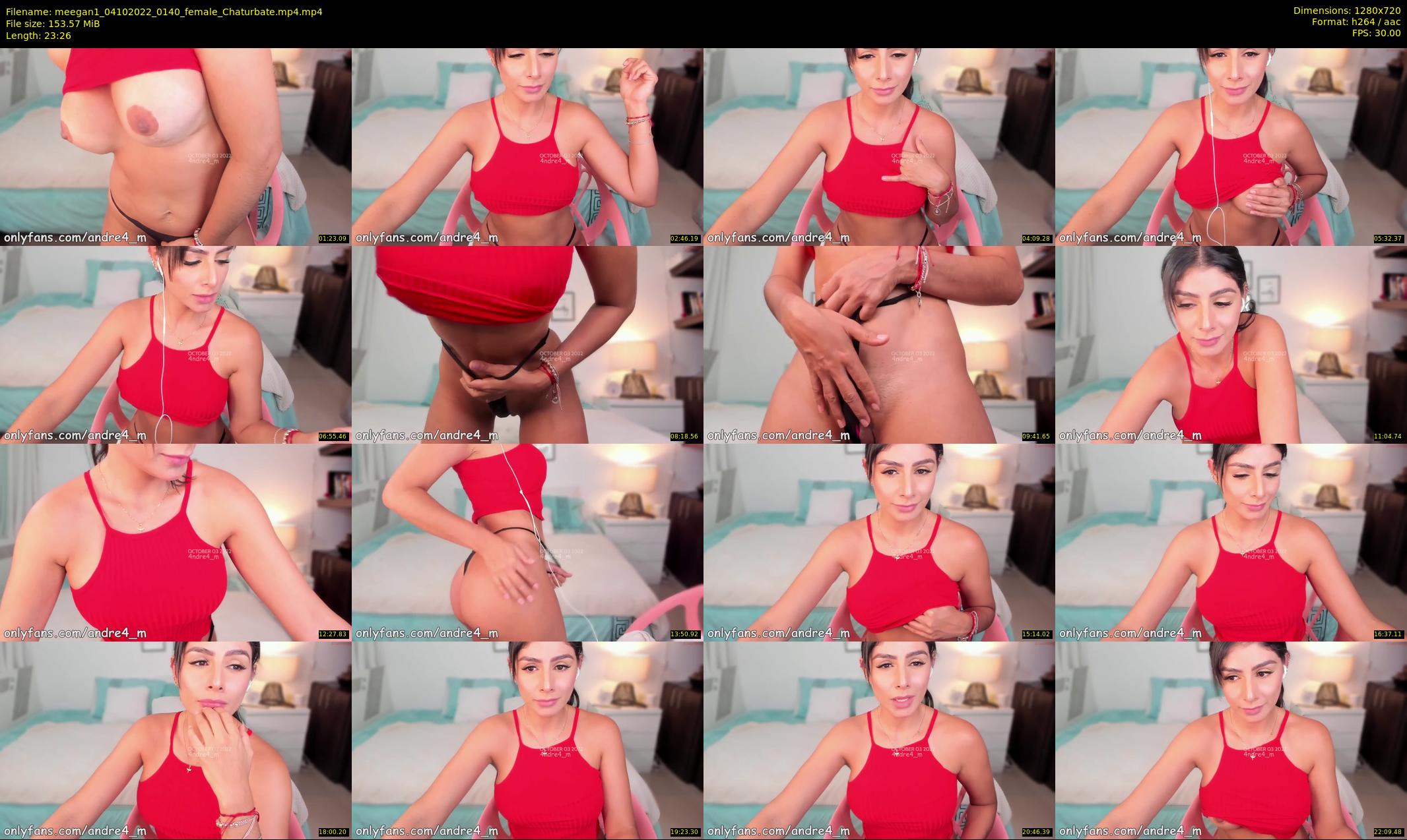 meegan1 — 24 minute Chaturbate female cam show recording, 720p, Oct 4, 2022