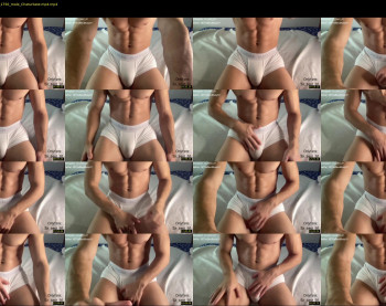 bestdick1991 — 30 minute Chaturbate male cam show recording, 720p, Oct 10, 2022