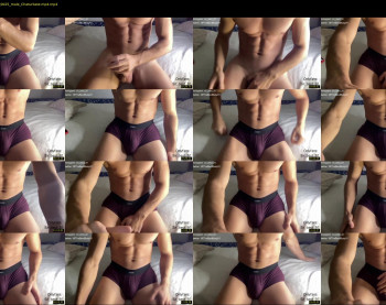 bestdick1991 — 22 minute Chaturbate male cam show recording, 720p, Oct 12, 2022