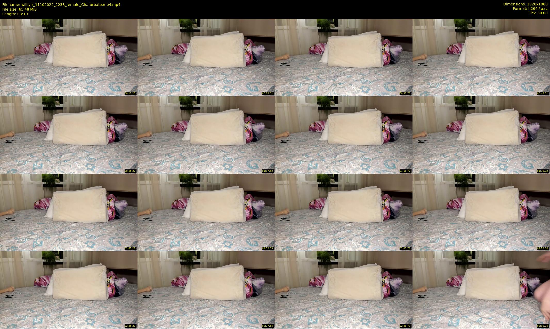 willlytr — 4 minute Chaturbate female cam show recording, 1080p, Oct 11, 2022