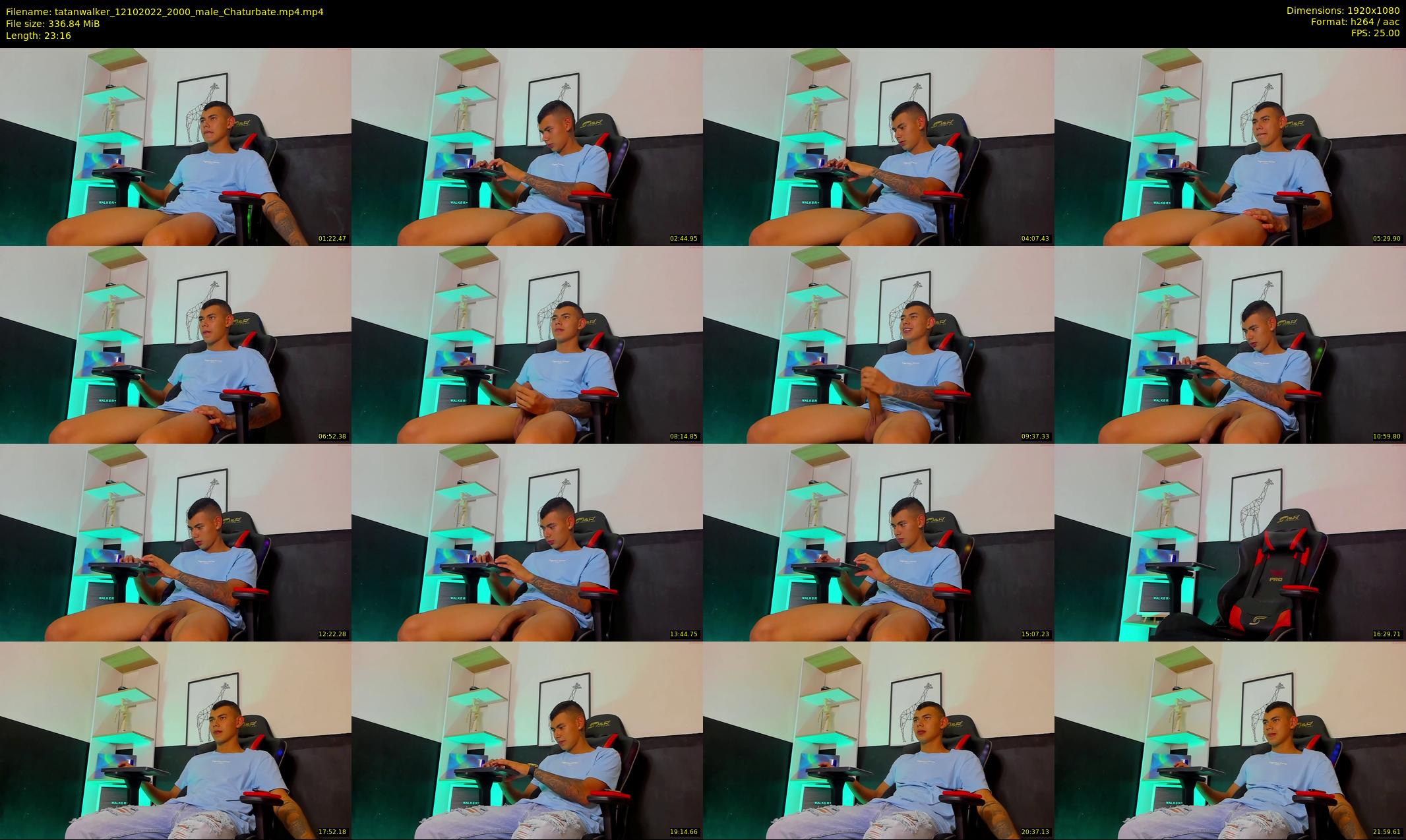 tatanwalker — 24 minute Chaturbate male cam show recording, 1080p, Oct 12, 2022