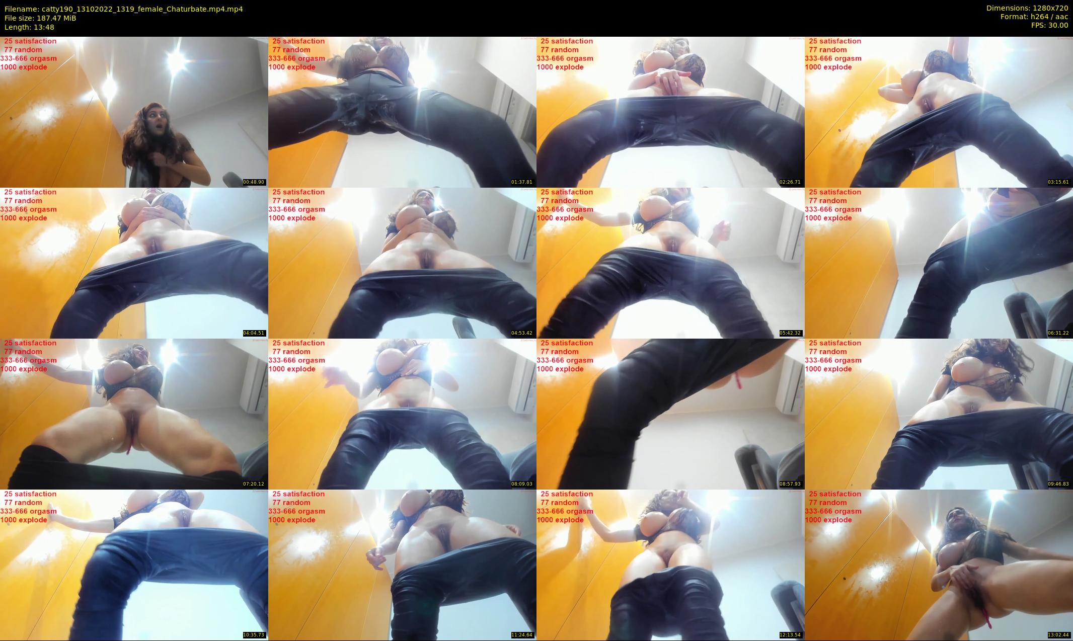 catty190 — 14 minute Chaturbate female cam show recording, 720p, Oct 13, 2022