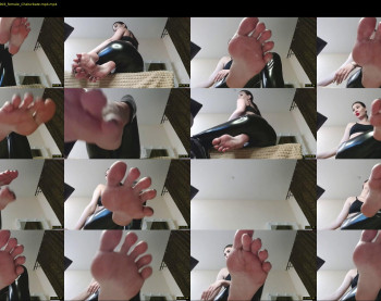 black_alex_ — 81 minute Chaturbate couple cam show recording, 720p, Oct 14, 2022