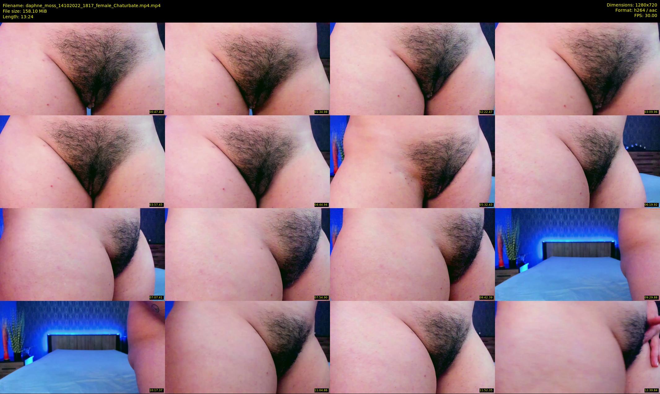 daphne_moss — 14 minute Chaturbate female cam show recording, 720p, Oct 14, 2022