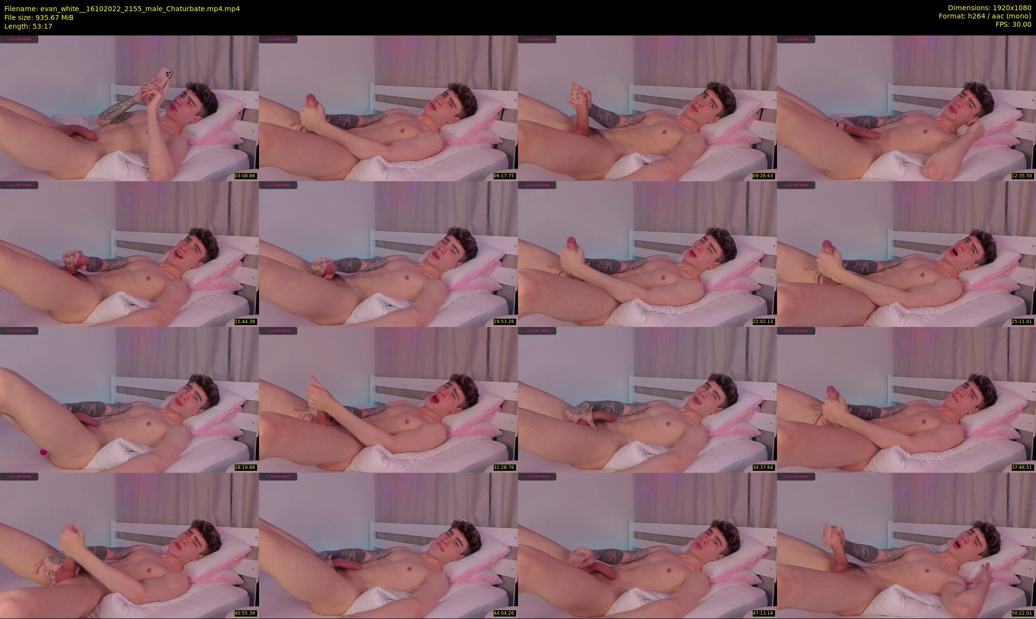 evan_white_ — 54 minute Chaturbate male cam show recording, 1080p, Oct 16, 2022