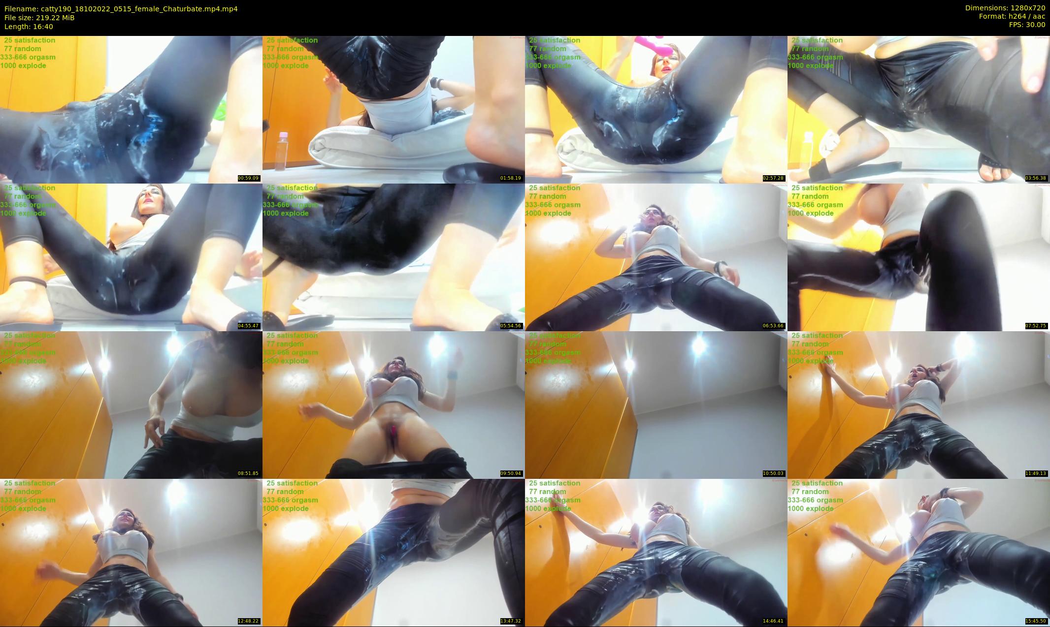 catty190 — 17 minute Chaturbate female cam show recording, 720p, Oct 18, 2022