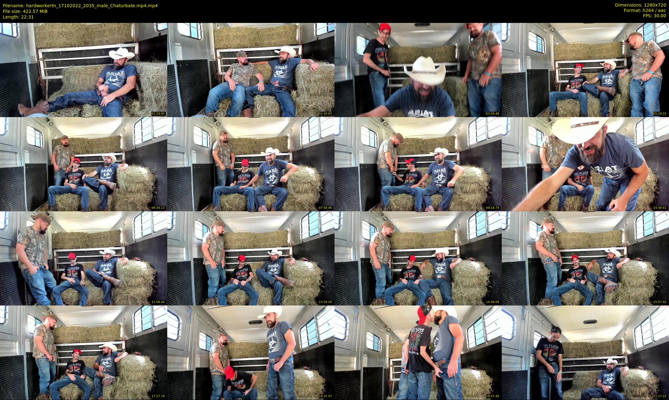 hardworkertn — 23 minute Chaturbate male cam show recording, 720p, Oct 17, 2022