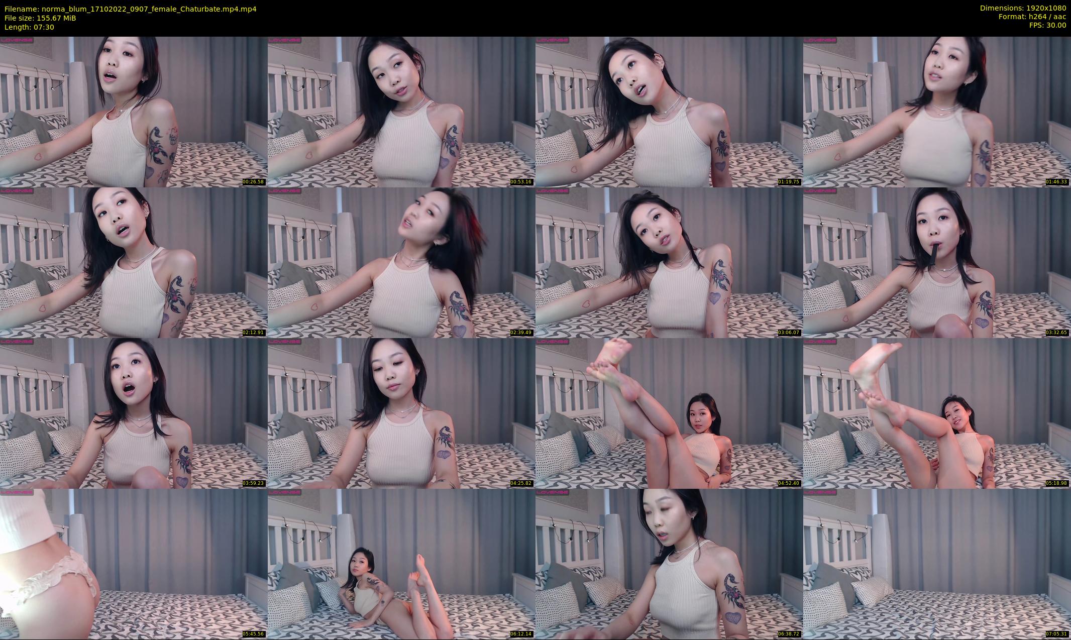 norma_blum — 8 minute Chaturbate female cam show recording, 1080p, Oct 17, 2022