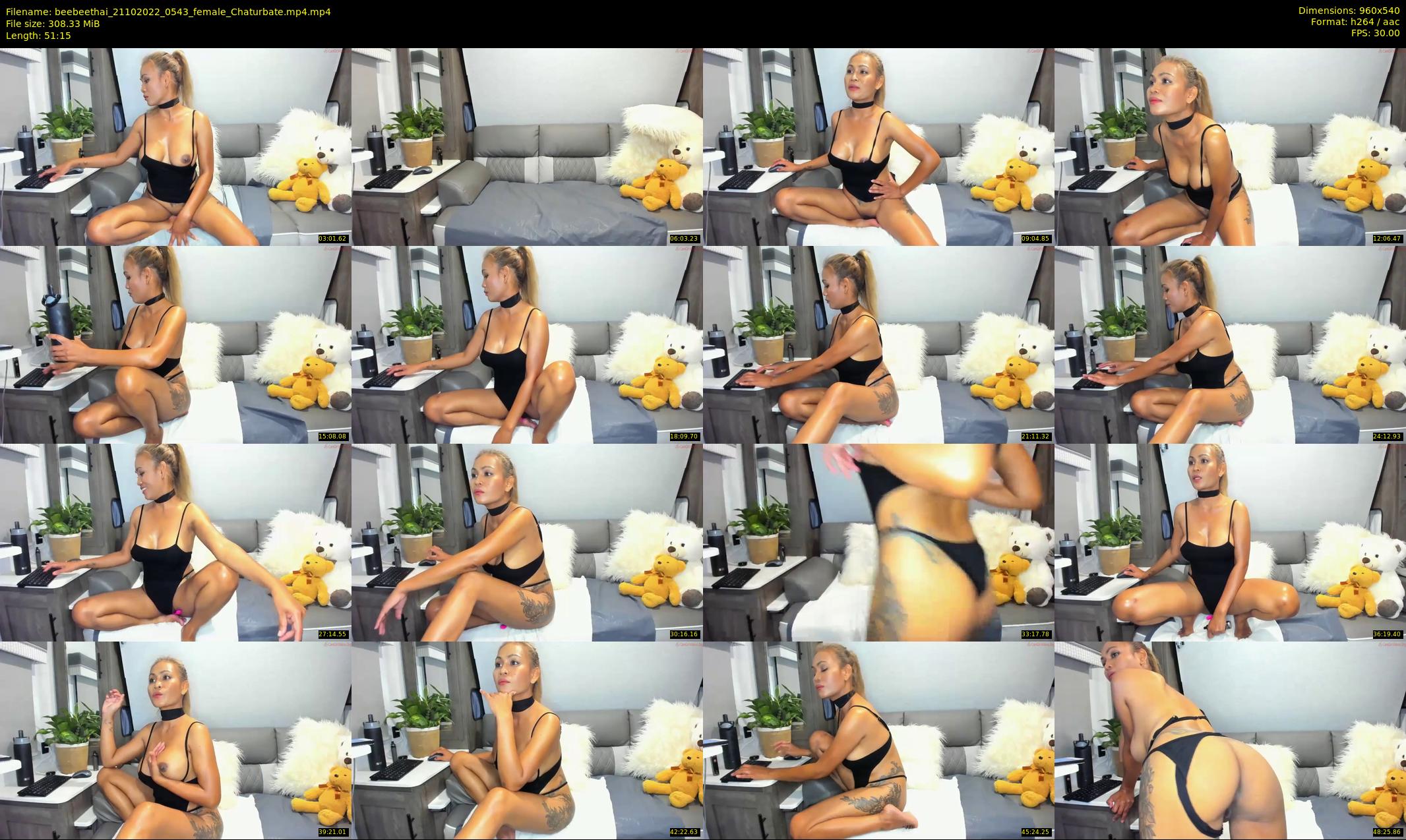 beebeethai — 52 minute Chaturbate female cam show recording, 480p, Oct 21, 2022