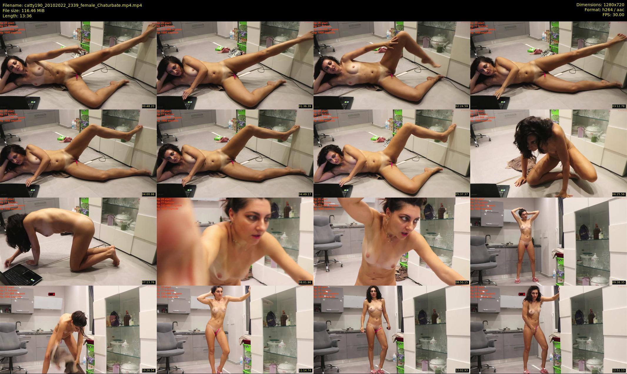 catty190 — 14 minute Chaturbate female cam show recording, 720p, Oct 20, 2022