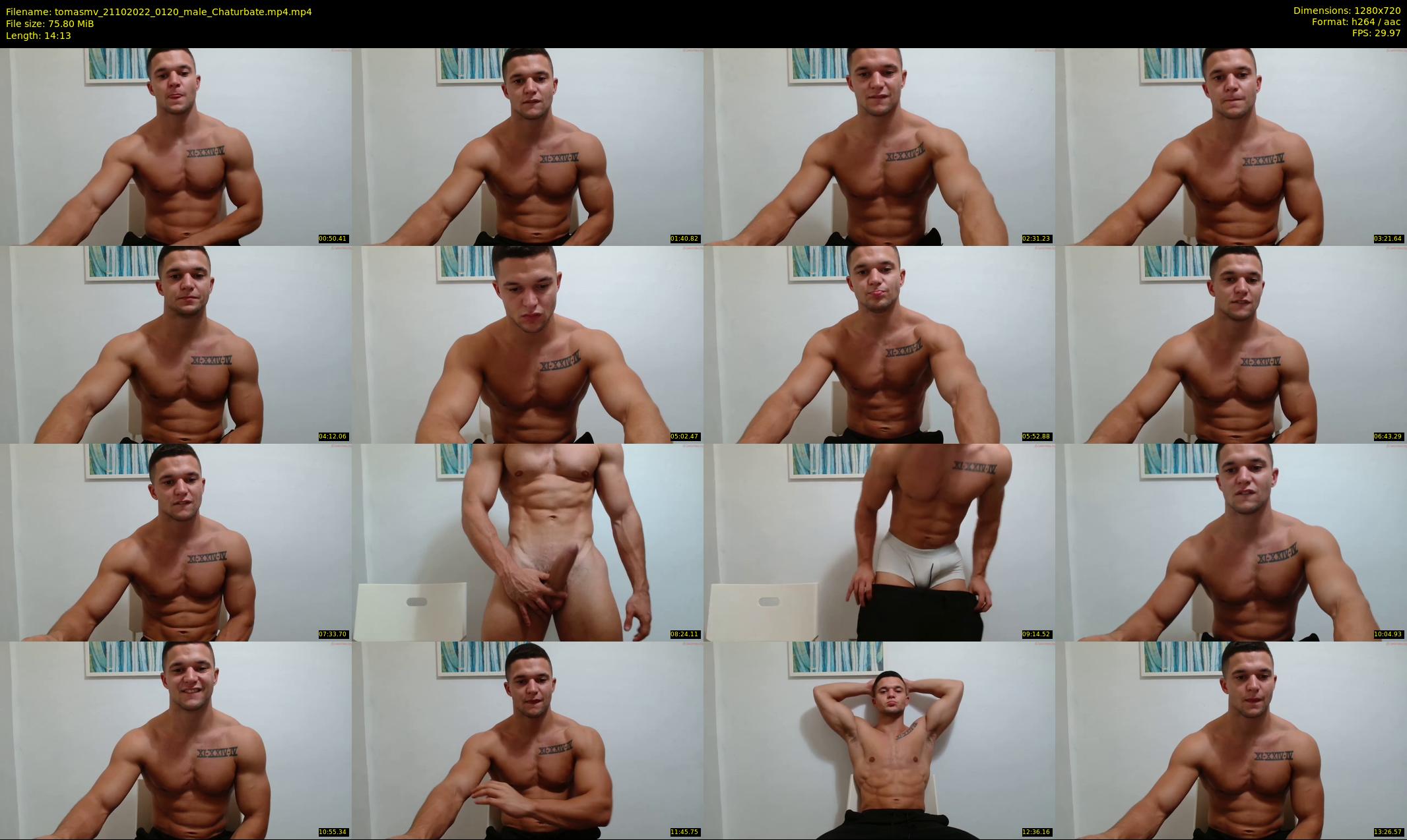 tomasmv — 15 minute Chaturbate male cam show recording, 720p, Oct 21, 2022