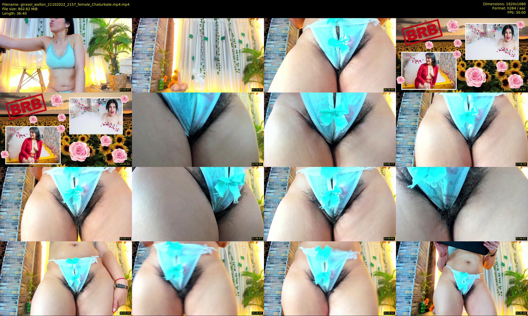 girasol_walton — 37 minute Chaturbate female cam show recording, 1080p, Oct 21, 2022