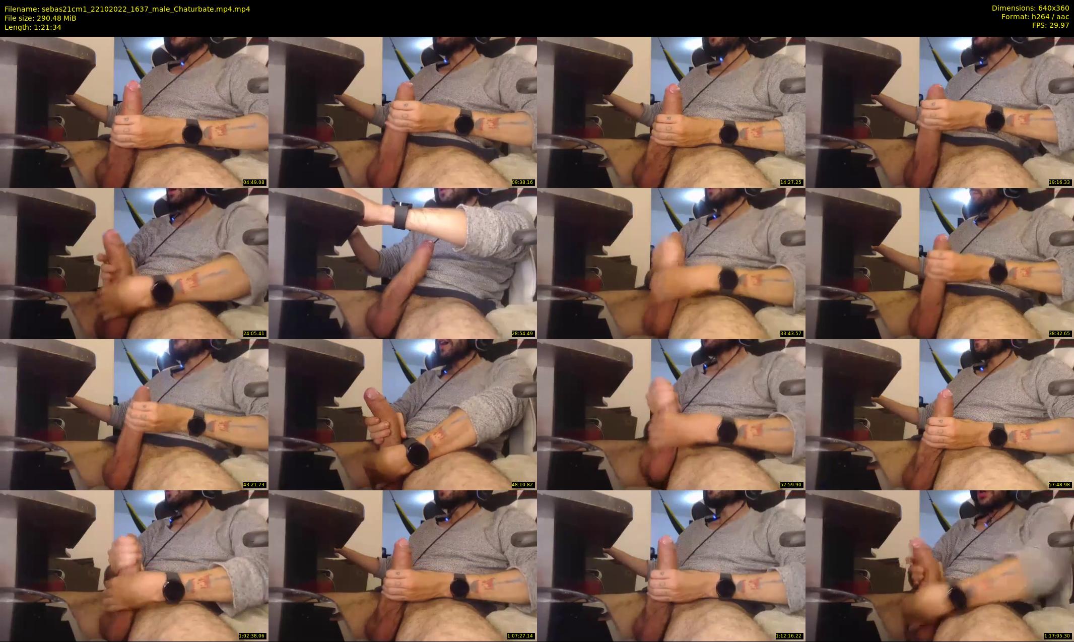 sebas21cm1 — 82 minute Chaturbate male cam show recording, 360p, Oct 22, 2022