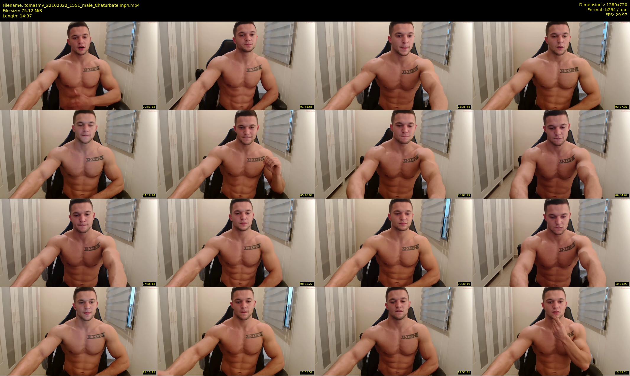 tomasmv — 15 minute Chaturbate male cam show recording, 720p, Oct 22, 2022