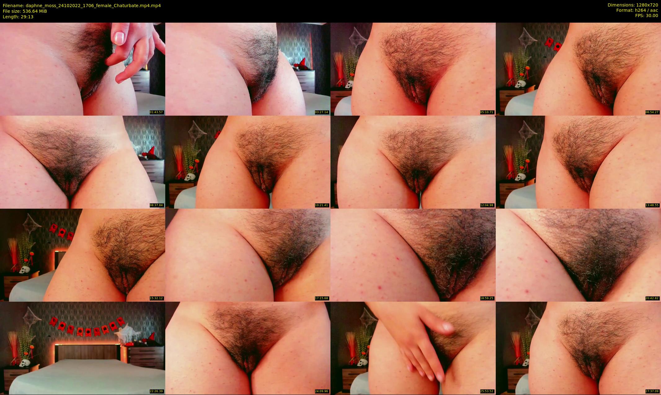 daphne_moss — 30 minute Chaturbate female cam show recording, 720p, Oct 24, 2022