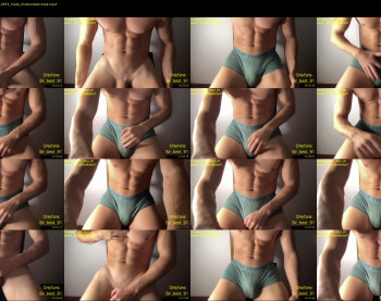 bestdick1991 — 38 minute Chaturbate male cam show recording, 720p, Oct 25, 2022