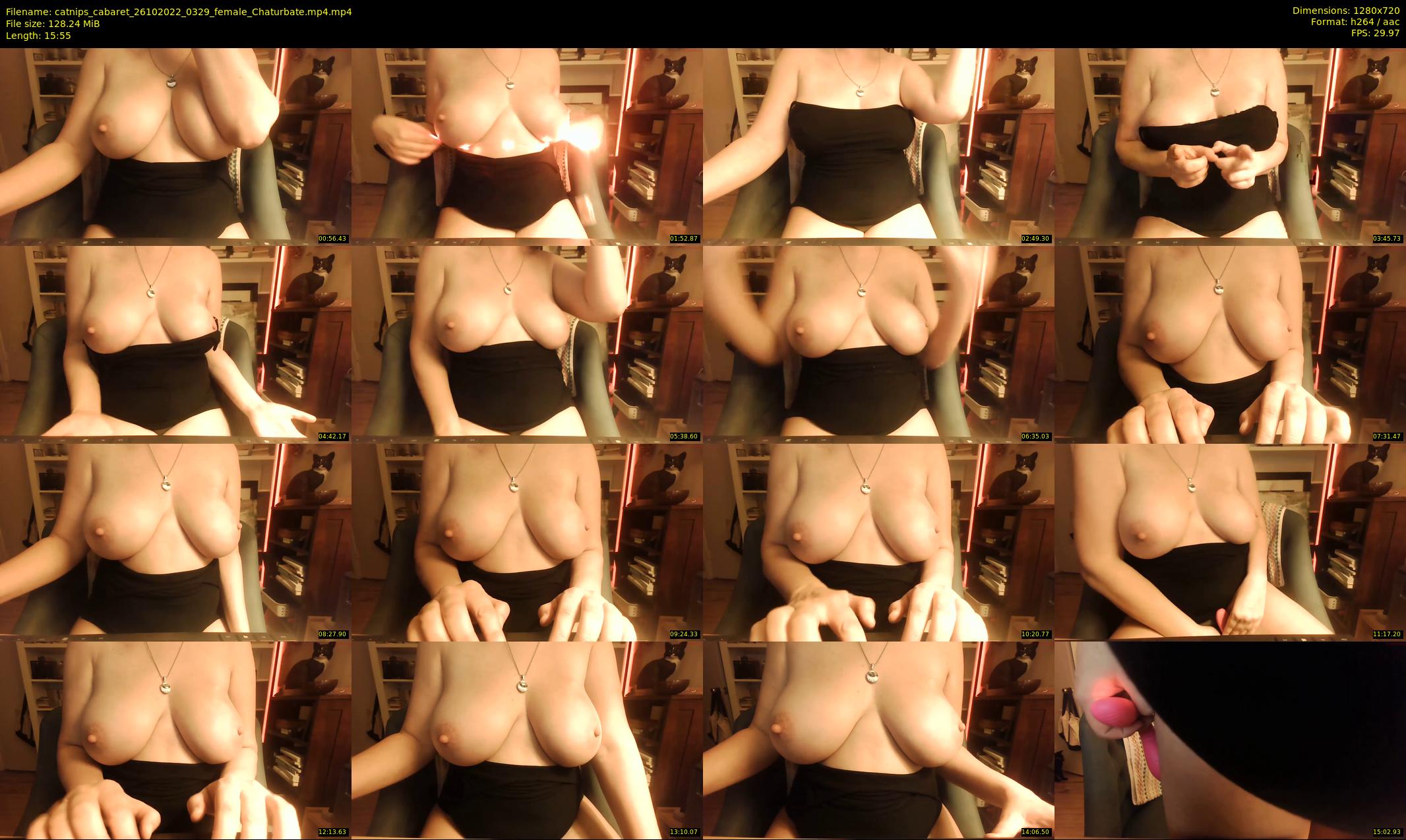 catnips_cabaret — 16 minute Chaturbate female cam show recording, 720p, Oct 26, 2022