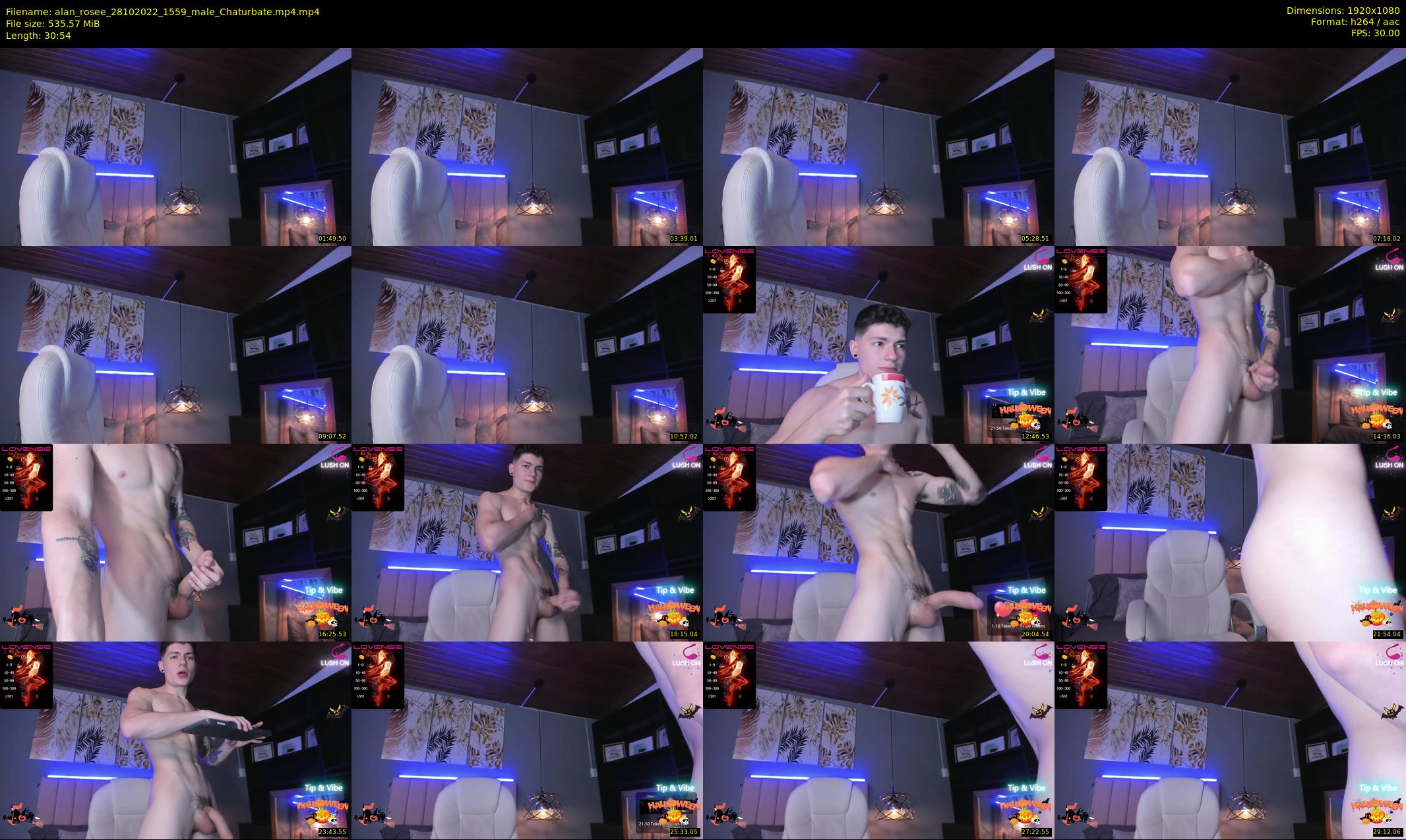 alan_rosee — 31 minute Chaturbate male cam show recording, 1080p, Oct 28, 2022