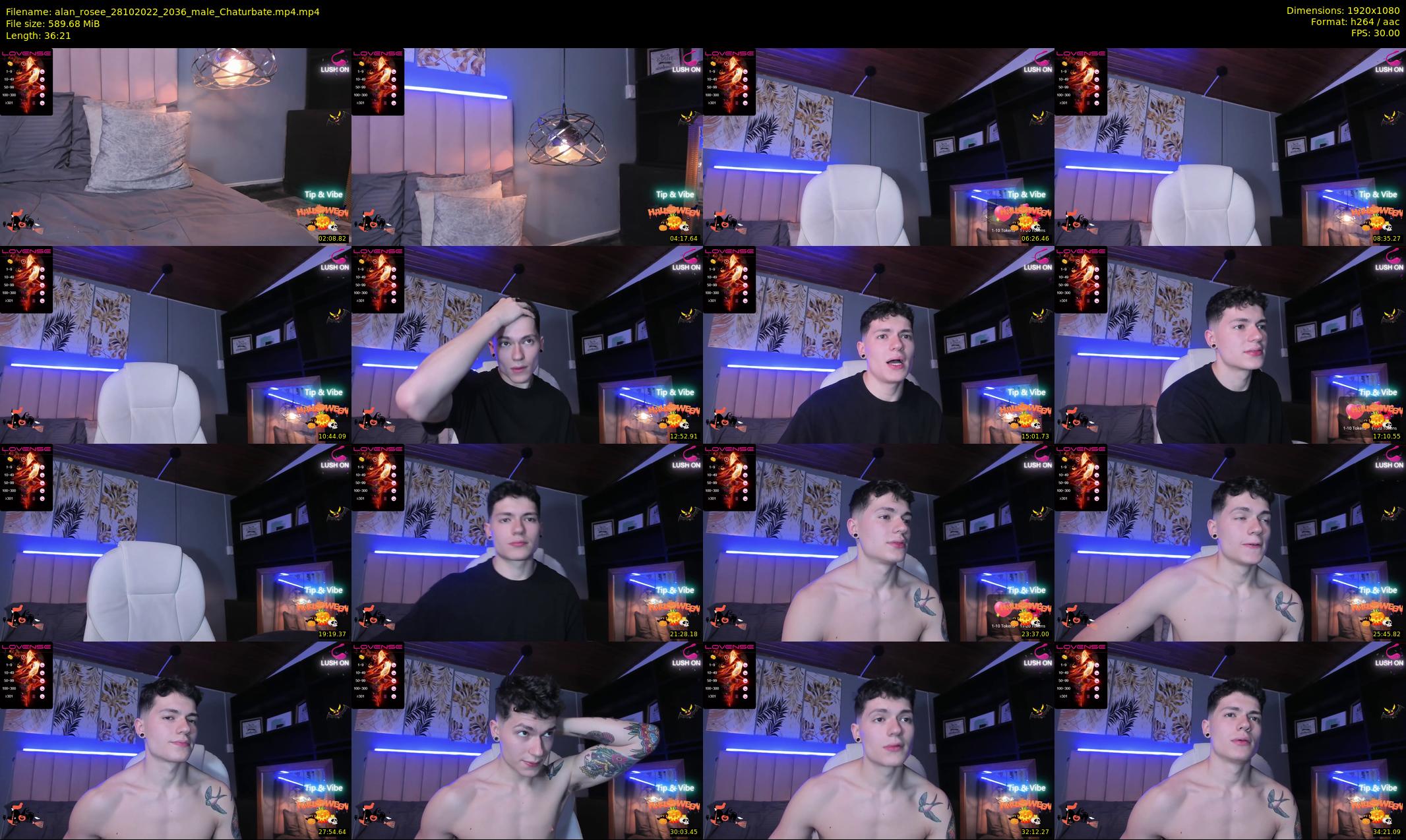 alan_rosee — 37 minute Chaturbate male cam show recording, 1080p, Oct 28, 2022