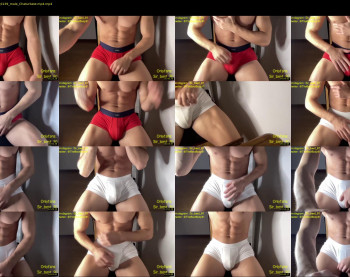 bestdick1991 — 24 minute Chaturbate male cam show recording, 720p, Oct 29, 2022
