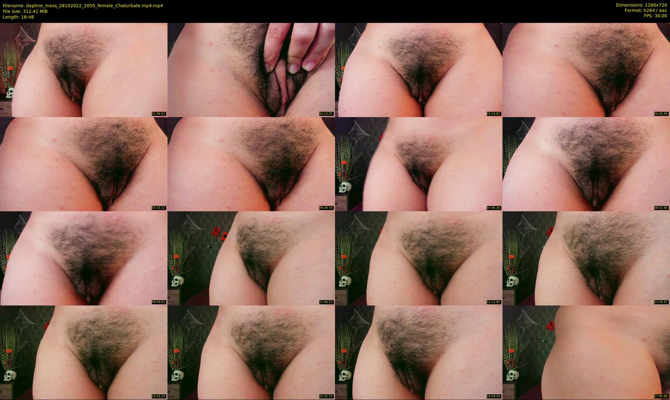 daphne_moss — 19 minute Chaturbate female cam show recording, 720p, Oct 28, 2022