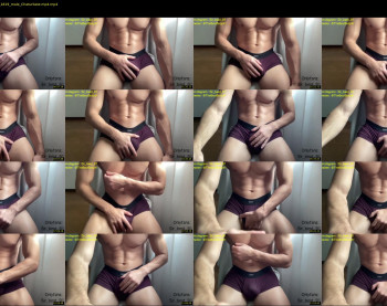 bestdick1991 — 14 minute Chaturbate male cam show recording, 720p, Oct 29, 2022