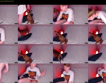 omg_pie — 5 minute Chaturbate male cam show recording, 720p, Oct 29, 2022