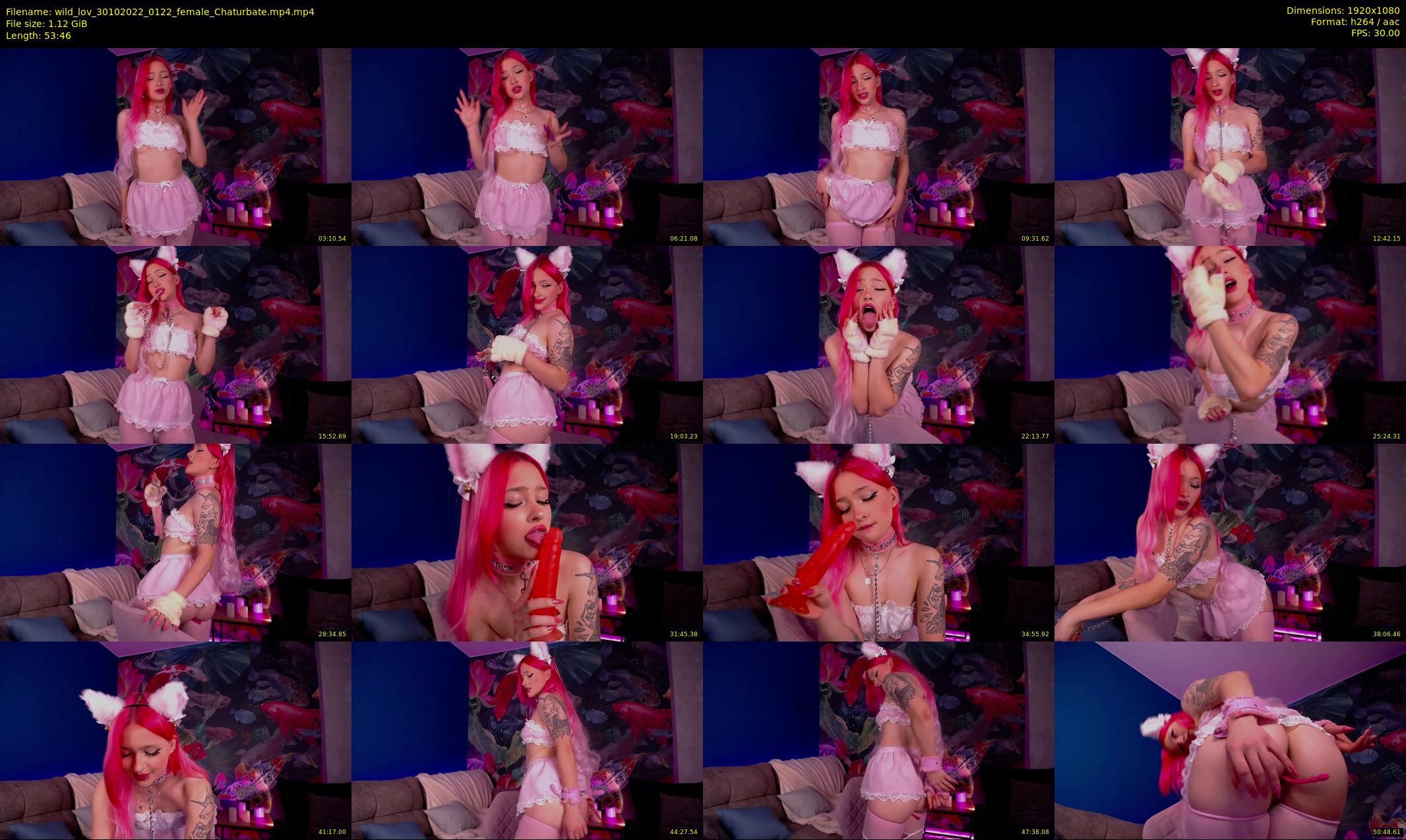 wild_lov — 54 minute Chaturbate female cam show recording, 1080p, Oct 30, 2022