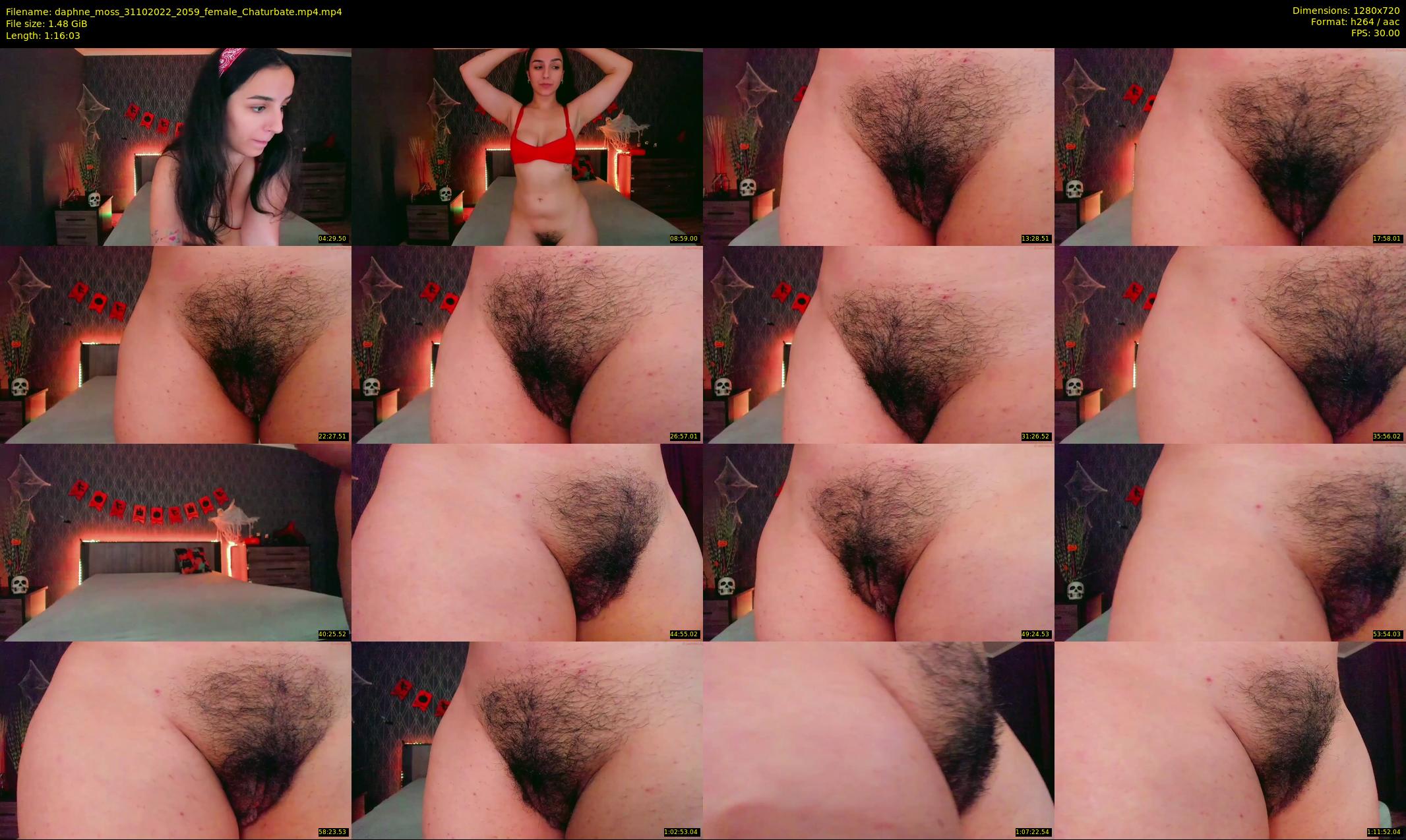 daphne_moss — 77 minute Chaturbate female cam show recording, 720p, Oct 31, 2022
