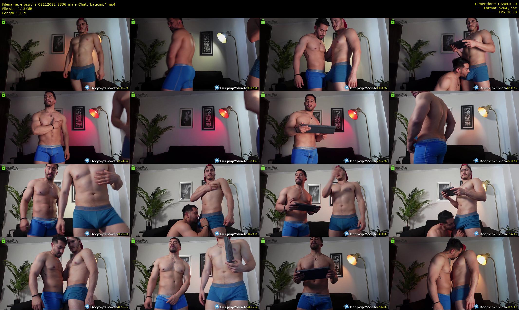 eroswolfs — 54 minute Chaturbate male cam show recording, 1080p, Nov 2, 2022