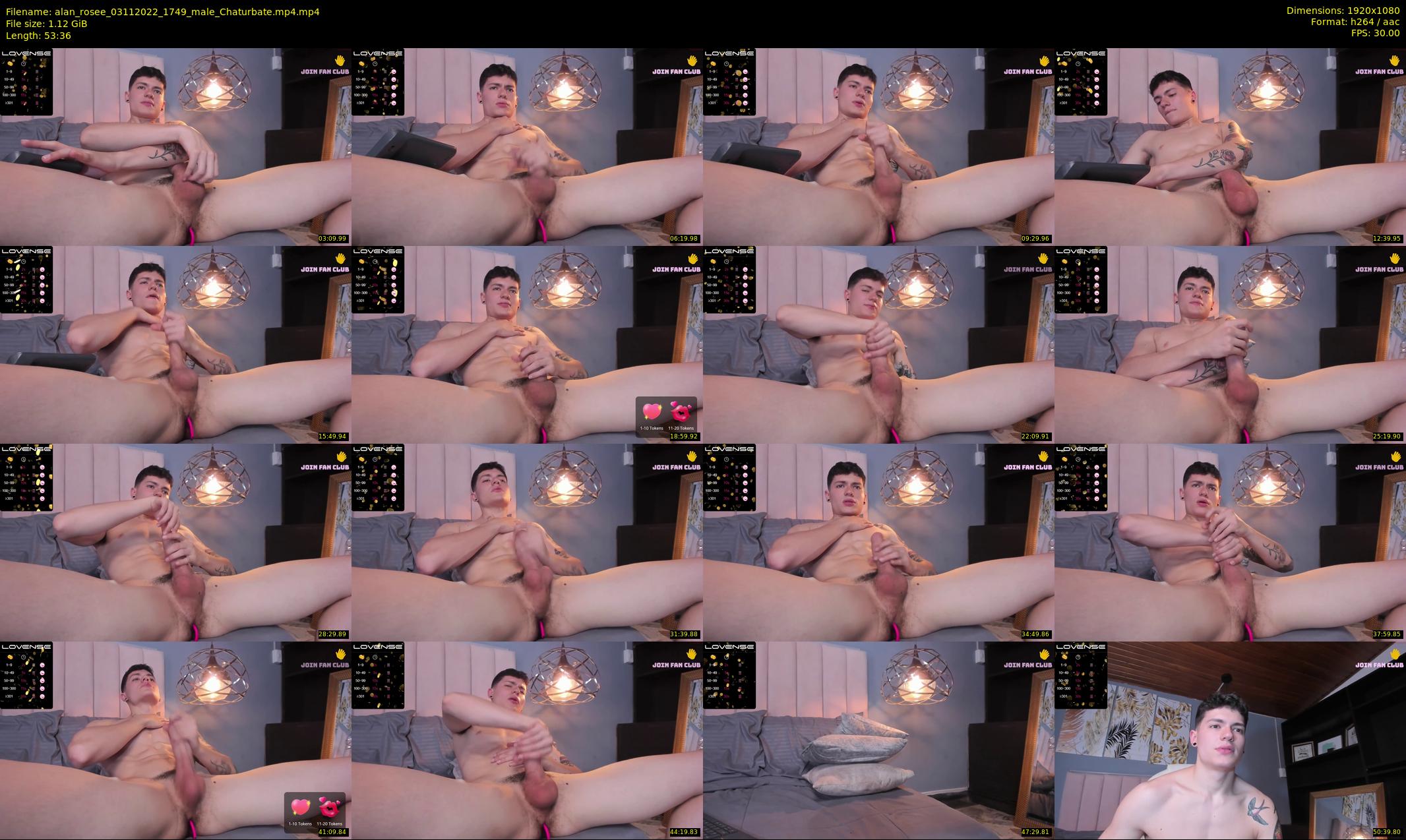 alan_rosee — 54 minute Chaturbate male cam show recording, 1080p, Nov 3, 2022