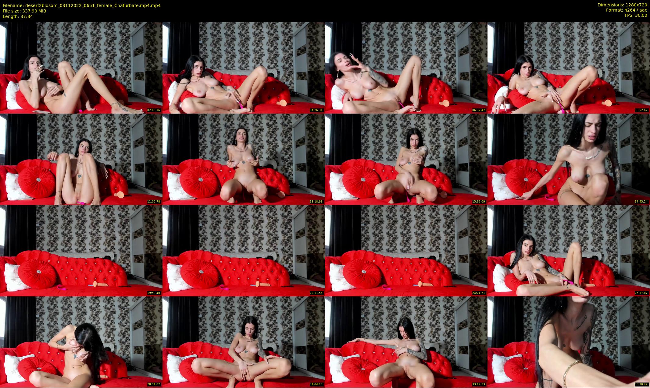 desert2blosom — 38 minute Chaturbate female cam show recording, 720p, Nov 3, 2022