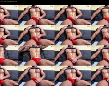 js_ihavecookie — 32 minute Chaturbate male cam show recording, 720p, Nov 4, 2022
