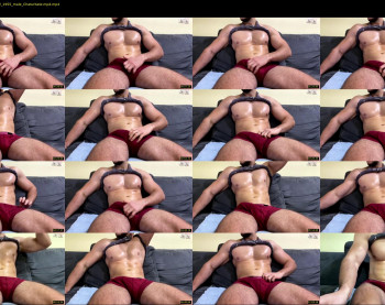 js_ihavecookie — 9 minute Chaturbate male cam show recording, 720p, Nov 5, 2022