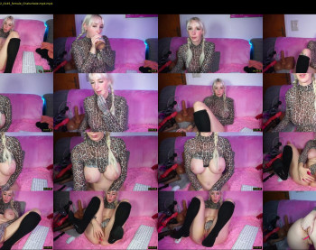 stellacinderella — 55 minute Chaturbate female cam show recording, 1080p, Nov 8, 2022
