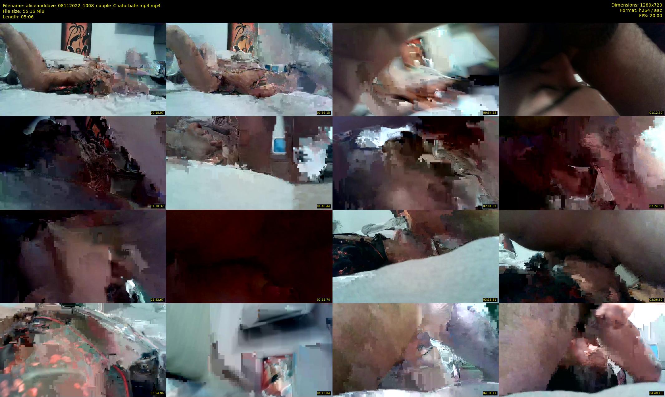 aliceanddave — 6 minute Chaturbate couple cam show recording, 720p, Nov 8, 2022