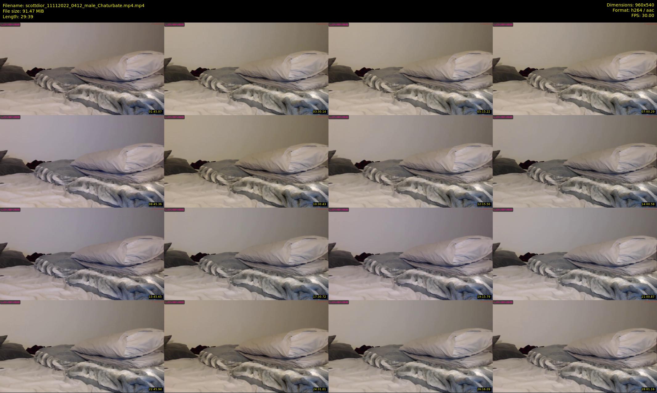 scottdior — 30 minute Chaturbate male cam show recording, 480p, Nov 11, 2022