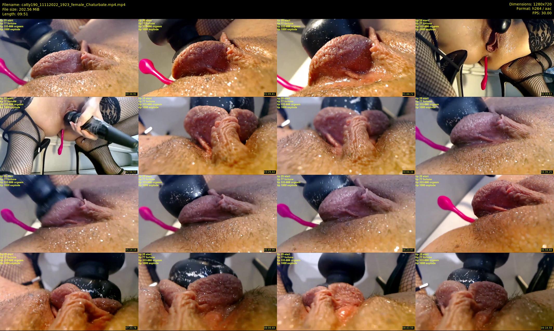 catty190 — 10 minute Chaturbate female cam show recording, 720p, Nov 11, 2022