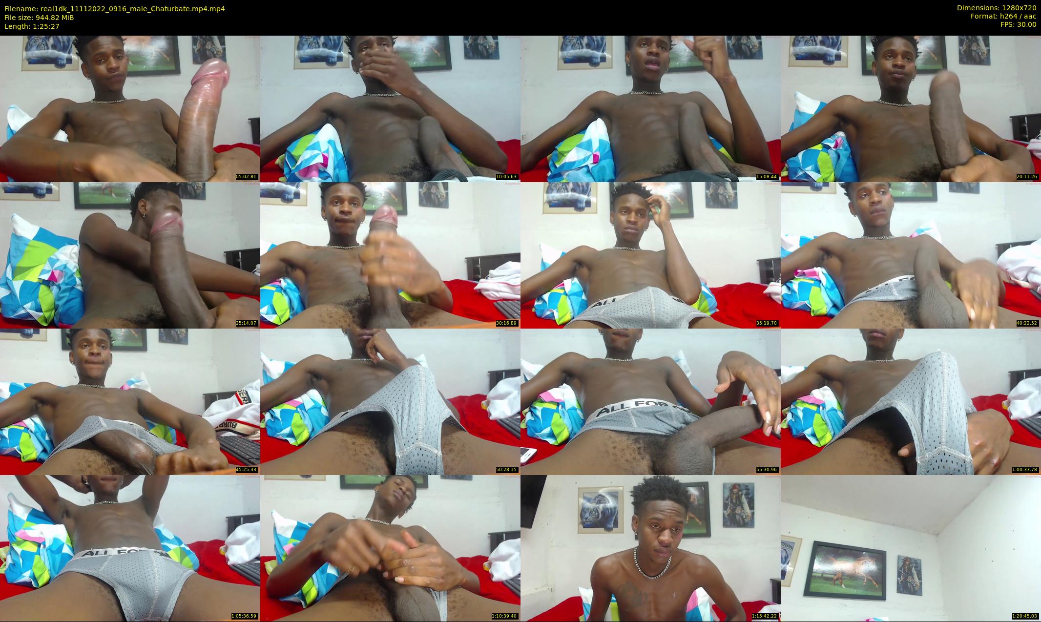 real1dk — 86 minute Chaturbate male cam show recording, 720p, Nov 11, 2022