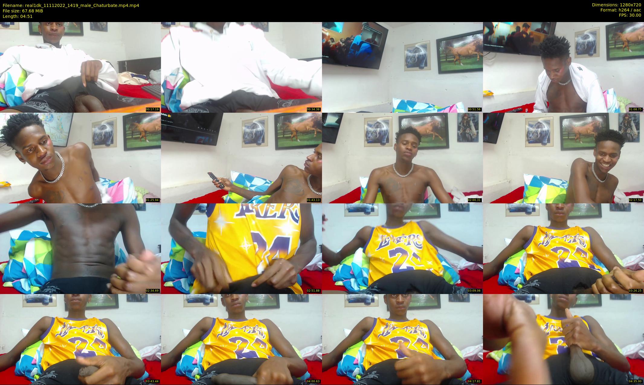 real1dk — 5 minute Chaturbate male cam show recording, 720p, Nov 11, 2022